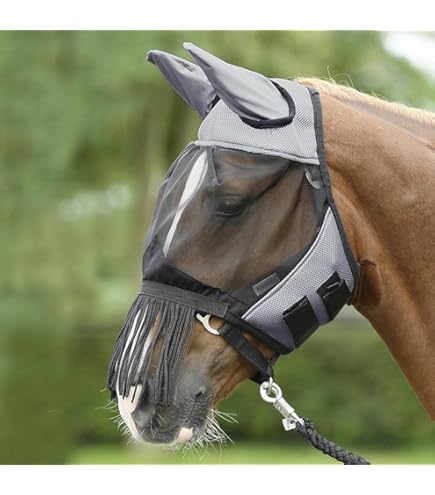 Briglia Elastica OESEN-ELASTIK Per Cavalli - Nero/NP, Taglia SH/m-pony, Marca Busse - Foto 10