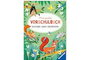 Mein großes Vorschulbuch: Buchstaben Zahlen Konzentration