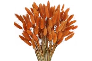 SLFYEE 120 Pcs Trockenblumen Klein Pampasgras Natürliche Getrocknet Blumen Getrocknetes Schilfgras Klein für Hochzeit Hause Party Wedding Büro Fotografie Vase Deko Orange