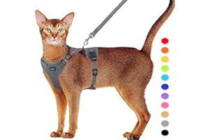 Supet Set di stoviglie per gatti e guinzaglio per gatti a prova di fuga, pettorina regolabile con strisce riflettenti, guinzaglio e pettorina universale per gatti e cuccioli