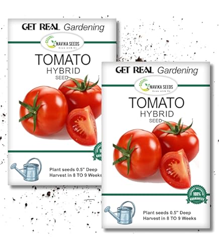 Advanta Golden Seeds Hi-Tom 2 Hybrid F1 Tomato seeds 10gm