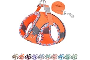 AIITLE Set imbracatura e guinzaglio per cani, imbracatura per cuccioli senza strappi con rete super traspirante, elementi essenziali per cuccioli per cani di piccola taglia, gatti Arancia XS