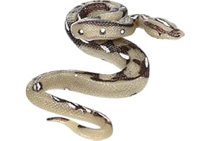 Toddmomy Giocattolo Serpente Realistico Pitone di Simulazione Realistico Scherzo Giocattolo Serpente di Halloween Scherzo di Halloween Artificiale Bambino Ornamenti