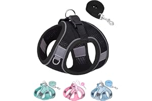 SOLMOONY Dog Harness Small Medium Large Dogs No Pull, Puppy Harness & Leash Set, Puppy Harness Small Dogs, Step in Harness Small Dogs, Small Dog Harness, mesh Dog Harness. (Black, S)(JJSS032)