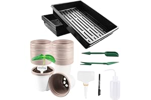 Lechansen Bac de Semis 50 Godet Semis 9cm avec Plateau de Culture sans Trous – Bac Plastique Rectangulaire Réutilisable pour Jardin Serre Balcon