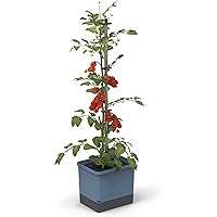 Tom Tomato - Tomatentopf - 4,5 L Wassertank Bewässerungssystem - Rankhilfe - Befestigungshaken - 20 L Erdvolumen…