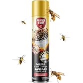 PROTECT HOME Wasp and Wasp Foam 750ml