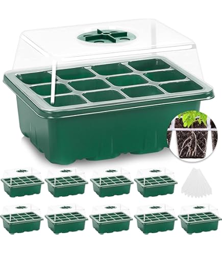 Semi Di Topinambur - Pacchetto Per Germinazione, Qualit&agrave; Premium