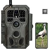 GardePro E8 Caméra de Chasse WiFi Antenne avec App 32MP 1296P H.264 Vidéo, Jusqu' 30m No Glow Infrarouge Vision Nocturne, Vit