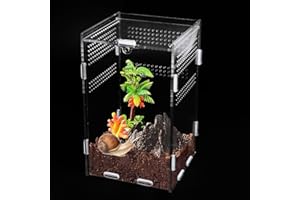 LTTEEA Stick Insect Enclosure Tarantula Jumping Spider Enclosure 12×12x20cm Transparent Acrylic Reptile Praying Mantis Enclosure Feeding Box for Lizard Snail Geckos Centipede Horned Frog Beetle