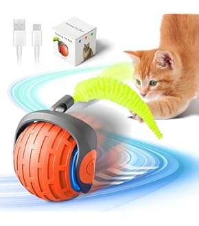 BITOYO Katzenspielzeug Ball - Interaktiver Rollball Mit USB Ladung