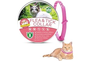 SURGLAM Cat Flea and Tick Collar, 8 Months Effective Protection Multi-coloured Waterproof Adjustable Cat Flea Collar Natural Safe Flea Tick Treatment for Kittens Cats Puppies