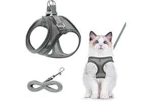 DYMHQ Imbracatura traspirante per gatti – regolabile con guinzaglio e anti-rottura, riflettente all'aperto (XXS, gatto, grigio)