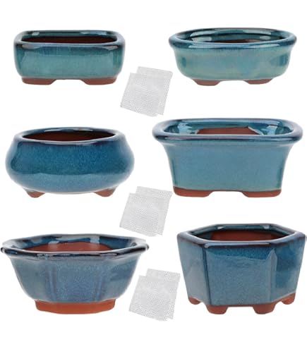 Happy Bonsai Kleine Töpfe Im Set – Glasierte Übertöpfe Mit Drainagesieb Für Pflanzen