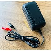 Pilsan Fortune Ak&uuml;l&uuml; Araba Uyumlu - 12 Volt Ak&uuml; Şarj Cihazı Şarz Aleti Adapt&ouml;r Yerli &Uuml;retim 1 Amper