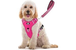 TUFFDOG Easy-Fit Dog Harness Medium - Fast Release Neck Clip, Premium Padded Reflective No Pull Harness with Control Handle, Adjustable Step-in Dog Vest Plus Free Matching Lead (M, Hot Pink)