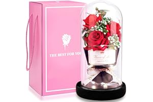 XINGGANG La Bella e La Bestia Rose Incantate,Rosa Eterna,Elegante Cupola di Vetro con Base Pino Luci LED,Beauty And Beast Regali Magici Valentino Festa della Mamma Compleanno Anniversario di Matrimonio