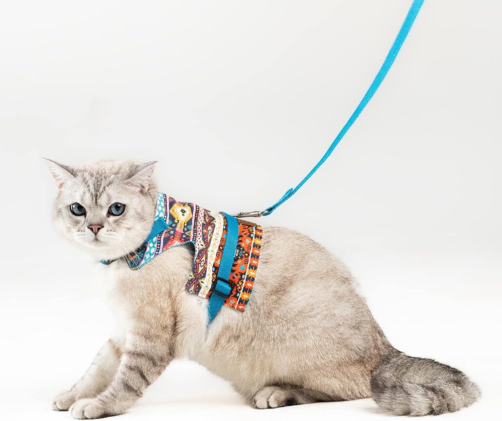 Patipatron Kaçış Önleyici Kedi Gezdirme Tasması Ve Küçük Irk Köpek Gezdirme Tasması (L, Kilim Desen Mavi)