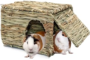 RANYPET Large Grass House for Guinea Pigs, Hand Woven Straw Hut Foldable Small Animal Play Hideaway Bed with Double Openings Playhouse for Bunny Guinea Pig Chinchilla Ferret