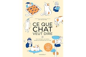 Ce que chat veut dire: Pour entretenir une relation durable et équilibrée avec son chat