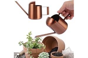 APACALI Regadera pequeña, 300 ml, mini regadera para plantas de interior, pequeña de acero inoxidable, caño largo, regadera de jardín para plantas de interior, bronce