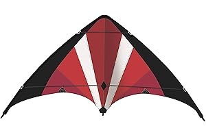 PAUL GÜNTHER Günther Flugspiele 1070 - Sportlenkdrachen Power Move, ca. 130 x 69 cm, Drachen aus reißfestem Ripstop-Polyester, für Kinder ab 8 Jahren, inkl. hochwertigen Schnüren auf Lenkrollen