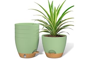 ZMTECH 15 cm Plant Pots with Drainage Holes Saucer Self Watering Planters with Watering Inlet Plastic Flower Pot for Indoor Outdoor Plants (Set of 5, Green)