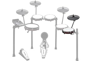 Alesis Drums Nitro Max Expansion Pack – E-Drum Set Erweiterung für Nitro Max Kit mit Mesh Tom Pad, 10" Becken mit Choke und Verbindungskabeln