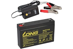 WSB BATTERY AGM BLEI AKKU Batterie 6V 7Ah kompatibel 3-FM-7 20HR 3 FM 7 3FM7 6V 7Ah AGM Blei Gel wie 7,2Ah 7.2Ah 7Ah 7,0Ah 8Ah BLEIGEL Gel 7,2Ah + LADEGERÄT