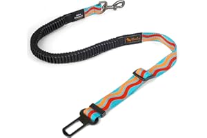 AYADA Anschnallgurt Hund Auto Elastischem Verstellbar Bungee Reflektierendem Nylon,Hundegurt Rückbank Reise Geschirr Sicherheitsgurt fix Gurt Katzen Hausti Leine Zubehör Karabin (Himmelblau)