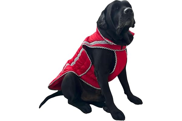 All For Fur polyester Dog Winter Jacket/Coat Extra Warm Padding For Cold Weather Windproof Adjustable Neck & Chest Luxury Pet Accessories Winter Clothes For XXL Dogs Ruby Red, 1 count