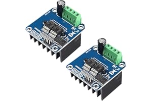 Dealikee 2 STÜCKE High Power Fahrzeug Treiber Modul Strombegrenzung, Halbleiterkühlung für Smart Car Motor Drive