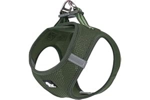 TRUE LOVE Harnais pour Chien Soft Air Mesh Gilet réfléchissant réglable pour Animaux de Compagnie pour Petites et Moyennes Races (L, Vert)