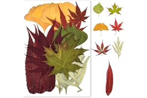ZIMOER Hojas Prensadas Secas, Hojas Secas Naturales, Hojas Secas Mezcladas Estilo Rojo, DIY para Resina, Tarjetas, Velas, Jabón, Joyería, Marcapáginas, Colgantes, álbumes de Recortes