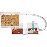 AntHouse - Natürliche Ameisenfarm aus Sand - Mini Set (Sandwich + Futterbox) (Gratis Ameisen)