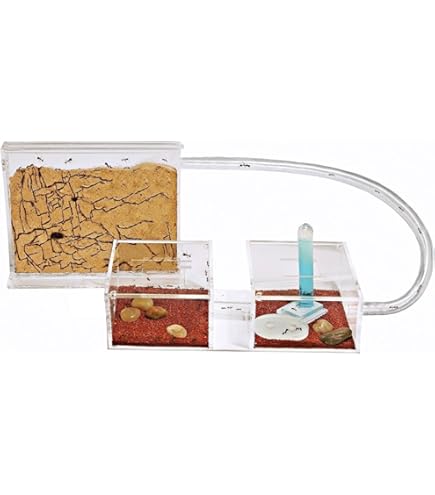 Mierenkasteel Ant Farm Box Gel Maze Ant Castle Bekijk Mieren Op Het Werk Ant Nest Farm World Pet House Ant Habitat Mierenboerderij(Blue