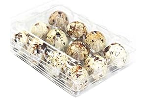 ANJINGUANG Quail Egg Kartons, 50 Stück, Wachteleier, wiederverwendbar, ecyclebarer Kunststoff Eierkarton für den Kühlschrank, jeder Platz für 12 kleine Wachteleier, Fasan oder Grouse