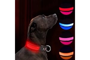 HAVENFLY Collier de Chien LED Light Up Collier de Chien Rechargeable USB étanche, Bande de Chien de Nuit avec 3 Modes Lumineux, Rend Votre Chien Visible, sûr et vu (Red, S)