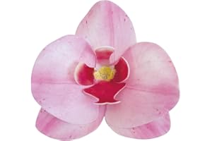 Dekora Conf. 10 Orchidee in Cialda Decorazioni Commestibili per Torte, Rosa