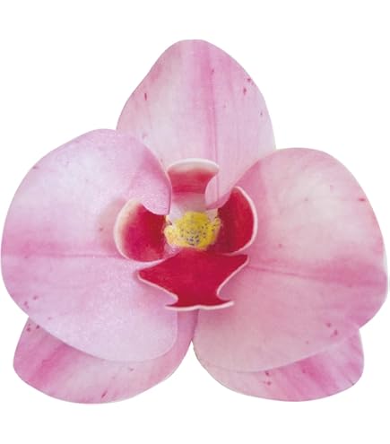 Bloemen mozaïeken bekijken - De | Bloemendaler