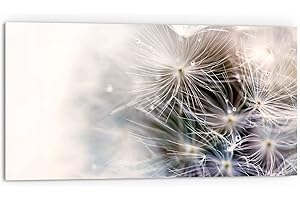 DEQORI Crédence de cuisine en verre - Motif pissenlit - 80 x 40 cm - Paroi arrière de salle de bain ou de cuisinière - Protection anti-éclaboussures pour cuisine et salle de bain - Décoration moderne