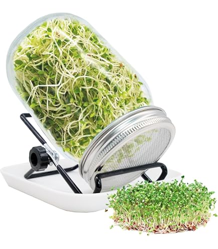 Set 3 Barattoli Per Alimenti, Coperchio In Acciaio Inox, Recipienti In Vetro 1100 Ml Trasparente Argentato Relaxdays 87932494
