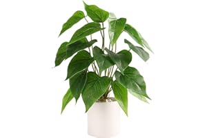 Floweroyal Fake Plant in Ceramic Pot Faux Potted Plants for Indoors Green Leaf Plant with White Planter for Desk Office Shelf Bathroom Bedroom Decor（Pothos）
