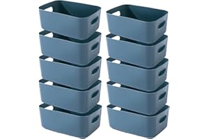 EURXLQ Cajas Almacenaje Plastico con Asa,Cajas Organizadoras de Plastico Adecuados para Usar en el Armario,la Cocina o el Baño (Azul, 25 x 18 x 10 cm/10 Pcs)