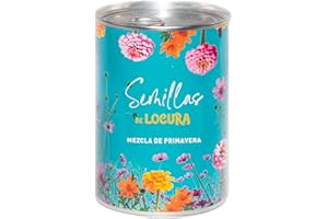MAUVAISESGRAINES-KITS À SEMER Kit para Plantar Flores en Caja - Semillas de Flores de Colores - Regalo Original para Amigos, Familiares, Fiestas y Cumpleaños - Regalo Ecológico de Viaje - Fácil de Usar (Locura)