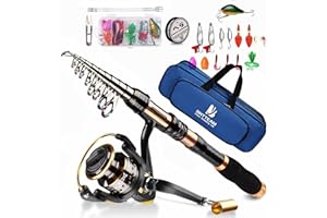 BNTTEAM Set canna da pesca telescopica e mulinello 2,1 m, 2,4 m, 3 m, 3,6 m in carbonio 13BB mulinello borsa esche linea ganci