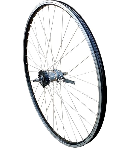 Redondo 24 Zoll Hinterrad 24" Kasten Felge Silber mit 1 Gang Rcktritt  Bremse : Amazon.de: Sport & Freizeit