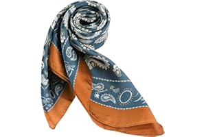 DAMILY Foulards Homme Masculin Bandana Carré Doux Paisley Foulard Seidig Écharpe Attacher Lisse Banquet Ascot Costume Mouchoir