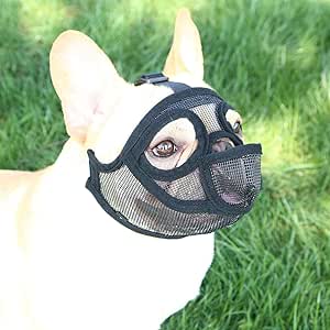 french bulldog muzzle amazon