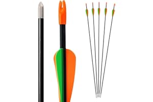 Bogenkönig - Punta Affilata Set di 5 Frecce per Arco per Bambini - in Fibra di Vetro con Punta di Metallo, per l'Arco da 28 Pollici - Qualità Superiore, Perfetto per Principianti